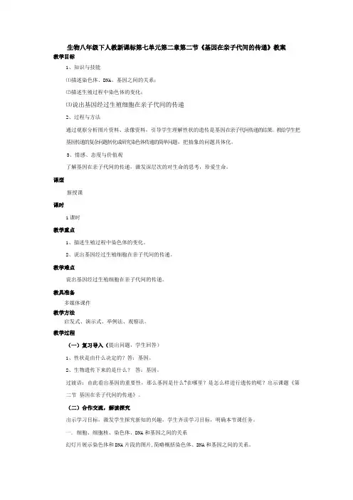 第二节基因在亲子代间的传递教案
