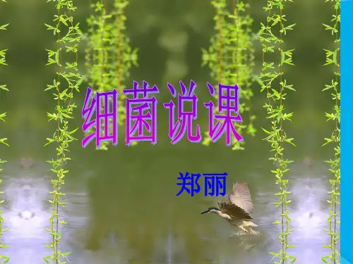 细菌PPT课件19(说课) 人教版优秀课件
