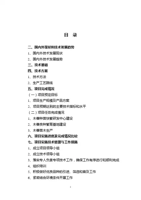 项目技术工作总结报告