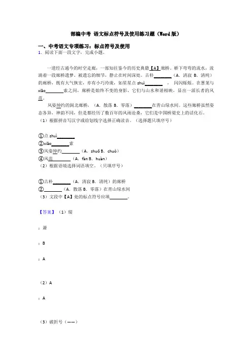 部编中考 语文标点符号及使用练习题(Word版)
