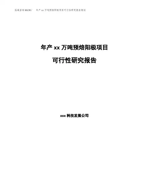 年产xx万吨预焙阳极项目可行性研究报告规划