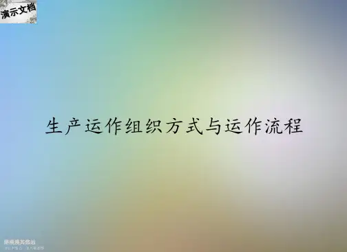 生产运作组织方式与运作流程