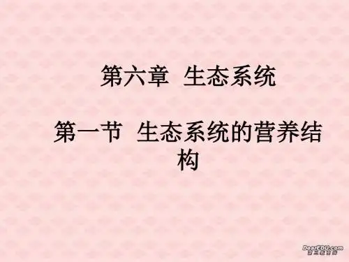 生态系统生态系统的营养结构
