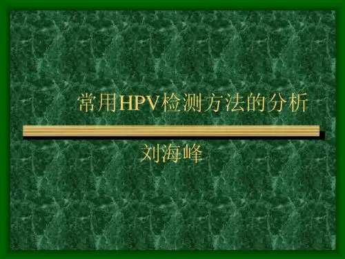 HPV检测