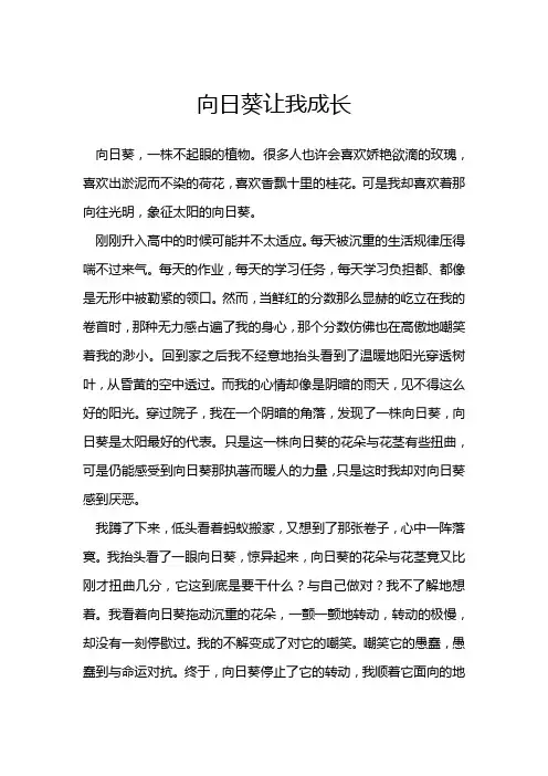 向日葵让我成长