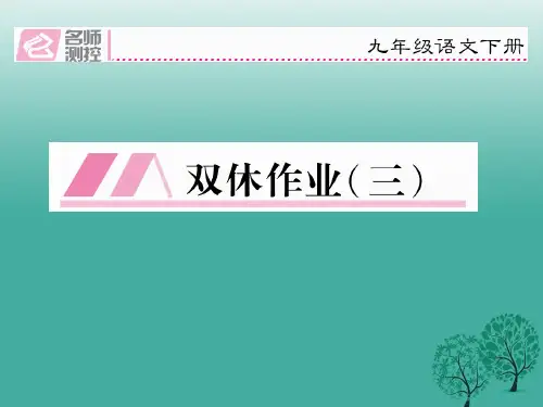 初三年级语文下册第二单元双休作业课件人教版
