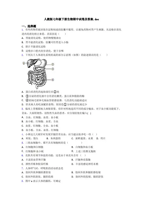 人教版七年级下册生物期中试卷及答案.doc