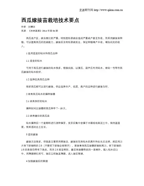 西瓜嫁接苗栽培技术要点