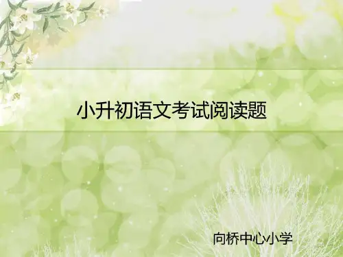 小升初语文考试阅读辅导(优秀)
