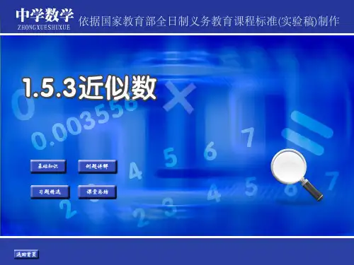 近似数