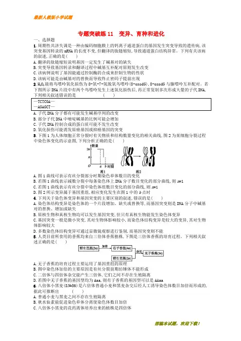 (新课标)广西新2020高考生物二轮复习 专题四 遗传学 专题突破练11 变异、育种和进化【下载】