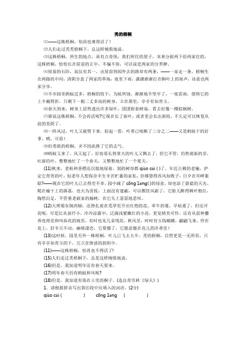 秃的梧桐   阅读答案