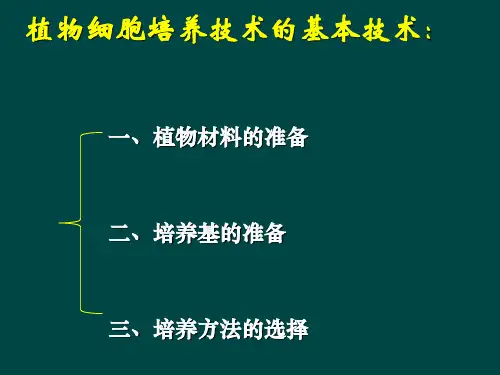 植物细胞培养的基本技术_PPT幻灯片