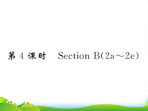 人教版九年级英语课件：Unit 10 第4课时 Section B(2a～2e)