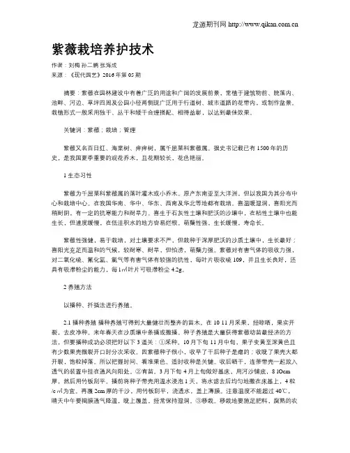 紫薇栽培养护技术