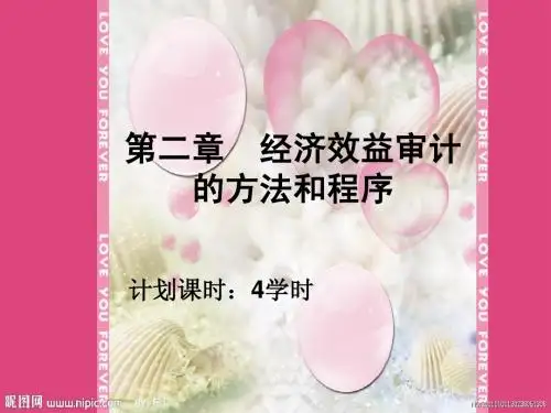 经济效益审计