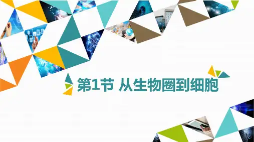 从生物圈到细胞说课课件