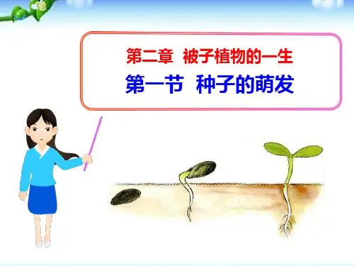《种子的萌发》被子植物的一生-人教版七年级生物上册PPT课件