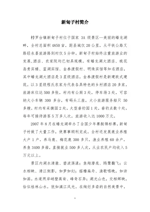 新甸子村旅游简介
