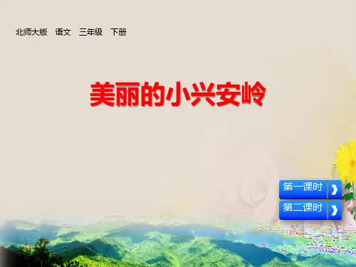 《美丽的小兴安岭》PPT免费课件