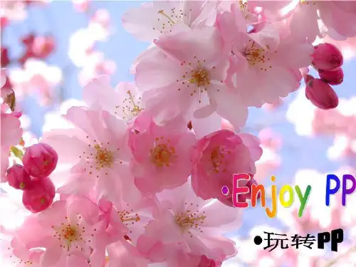 玩转PPT(基础制作篇)-课件·PPT