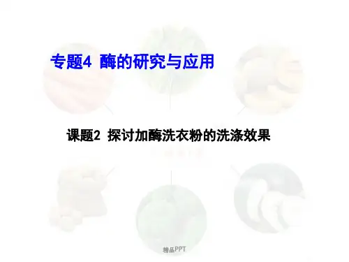 探讨加酶洗衣粉的洗涤效果PPT