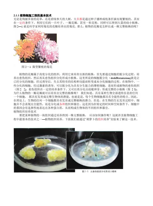 2.1.1 植物细胞工程的基本技术