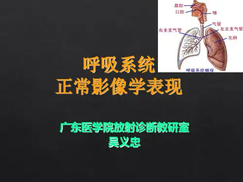 呼吸系统-正常影像学表现