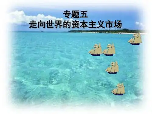 专题五走向世界的资本主义场