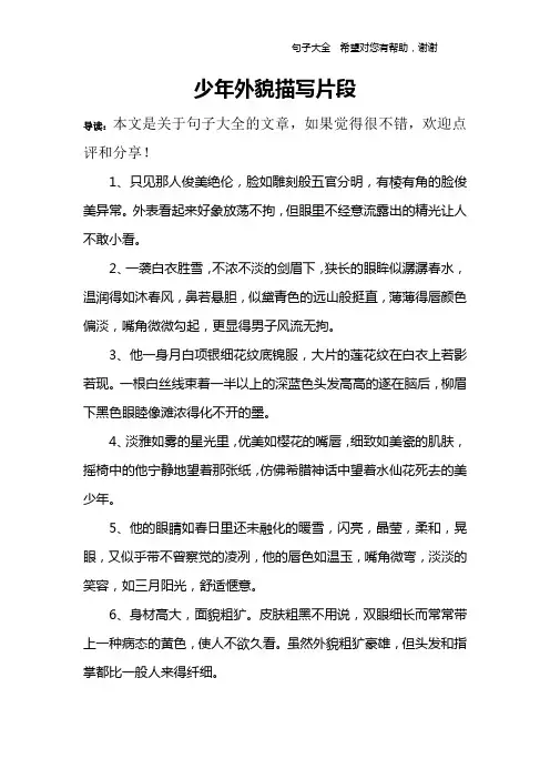 少年外貌描写片段