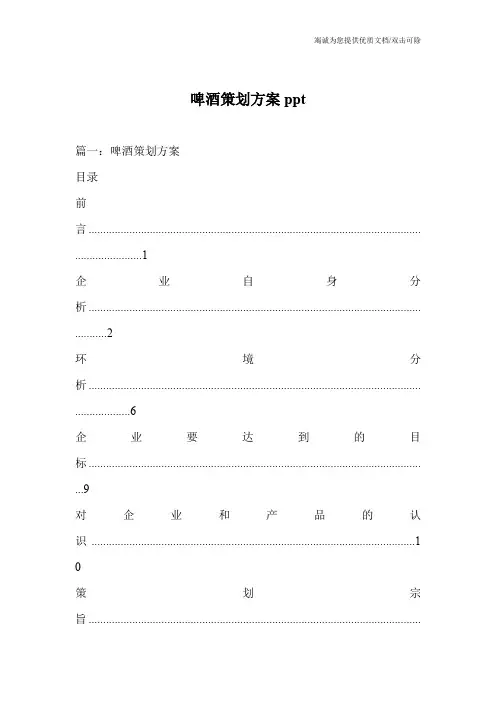 啤酒策划方案ppt