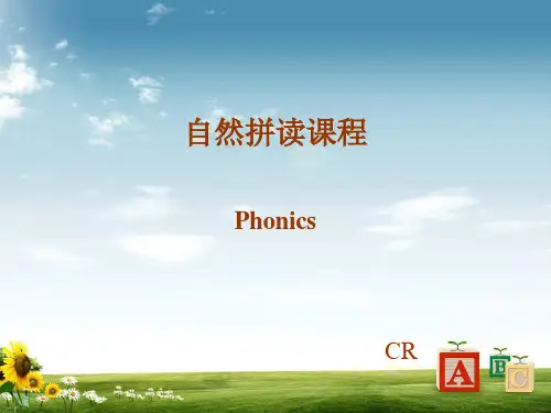 2018-2019年PEP人教版小学英语六年级下册：英语字母自然拼读课件【精品优质课PPT课件】