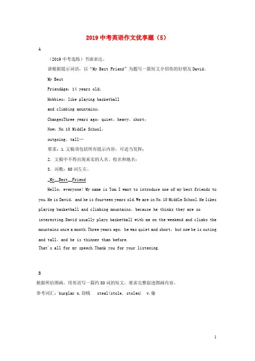 中考英语二轮复习作文优享题(5)