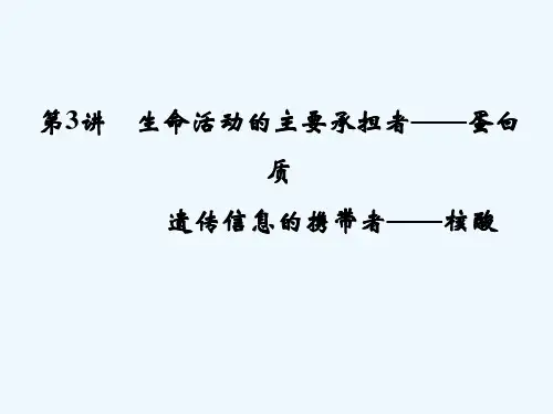 蛋白质和核酸-一轮复习