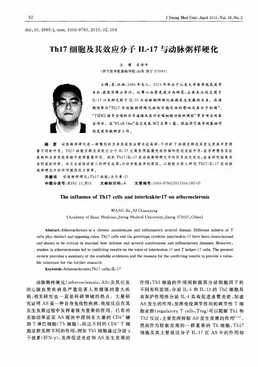 Th17细胞及其效应分子IL-17与动脉粥样硬化
