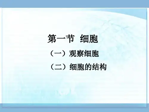 冀教版七上生物第二章 生物体的结构层次第1节《观察细胞及其结构》参考课件 (1)(共18张PPT)