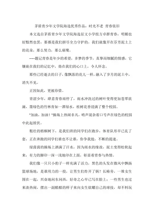 茅盾青少年文学院海选优秀作品：时光不老青春依旧-作文