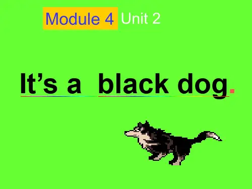 【外研版】--三年级英语上册-it's-a-black-dog