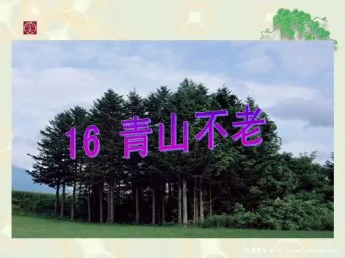 《青山不老》教学课件