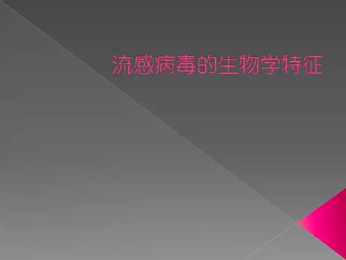 流感病毒的生物学特征