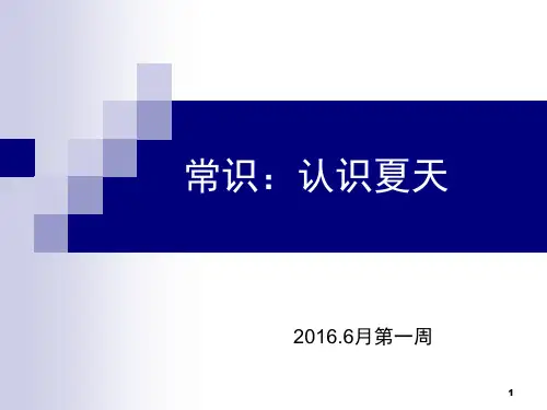 常识：认识夏天(课堂PPT)