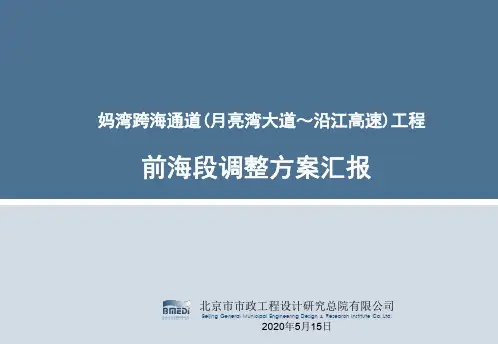 妈湾通道前海段方案专家咨询