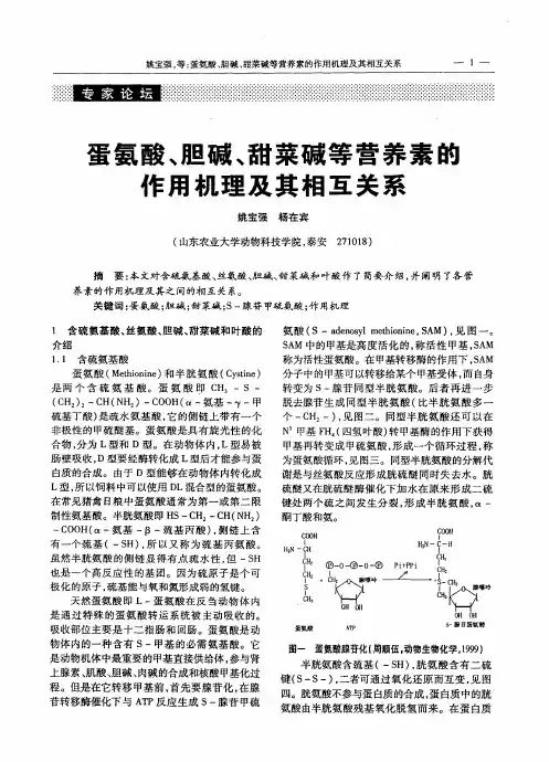 蛋氨酸、胆碱、甜菜碱等营养素的作用机理及其相互关系