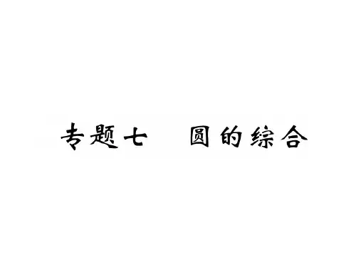 专题7 圆的综合