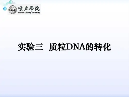 质粒DNA的转化。