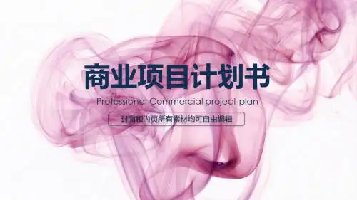 创业商业融资计划书通用PPT模板044