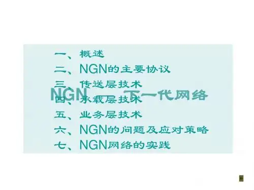 NGN 简介