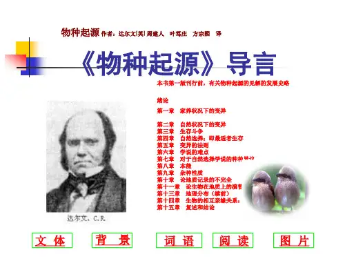 物种起源