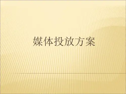媒体投放方案(ppt55张)