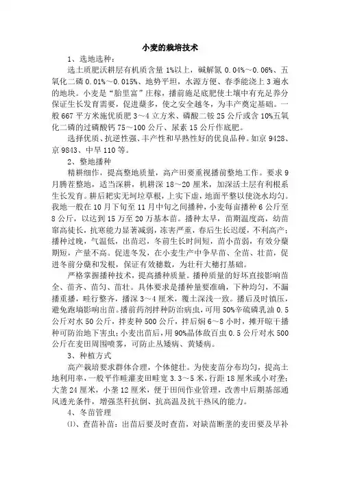 小麦栽培技术